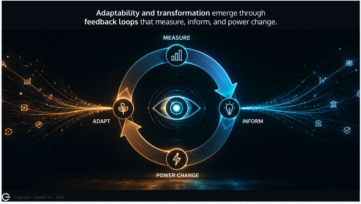 Circular feedback loop showing how organizations measure, inform, power change, and adapt.