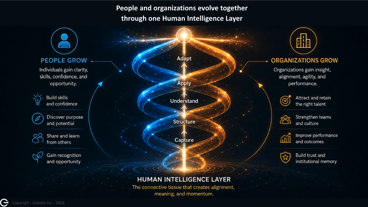 Intertwined blue and gold feedback loops showing people and organizations growing together through capture, understanding, application, and adaptation.