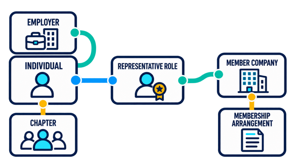 An individual connected to employer, chapter, and representative-role cards, with a member company linked to its membership arrangement.