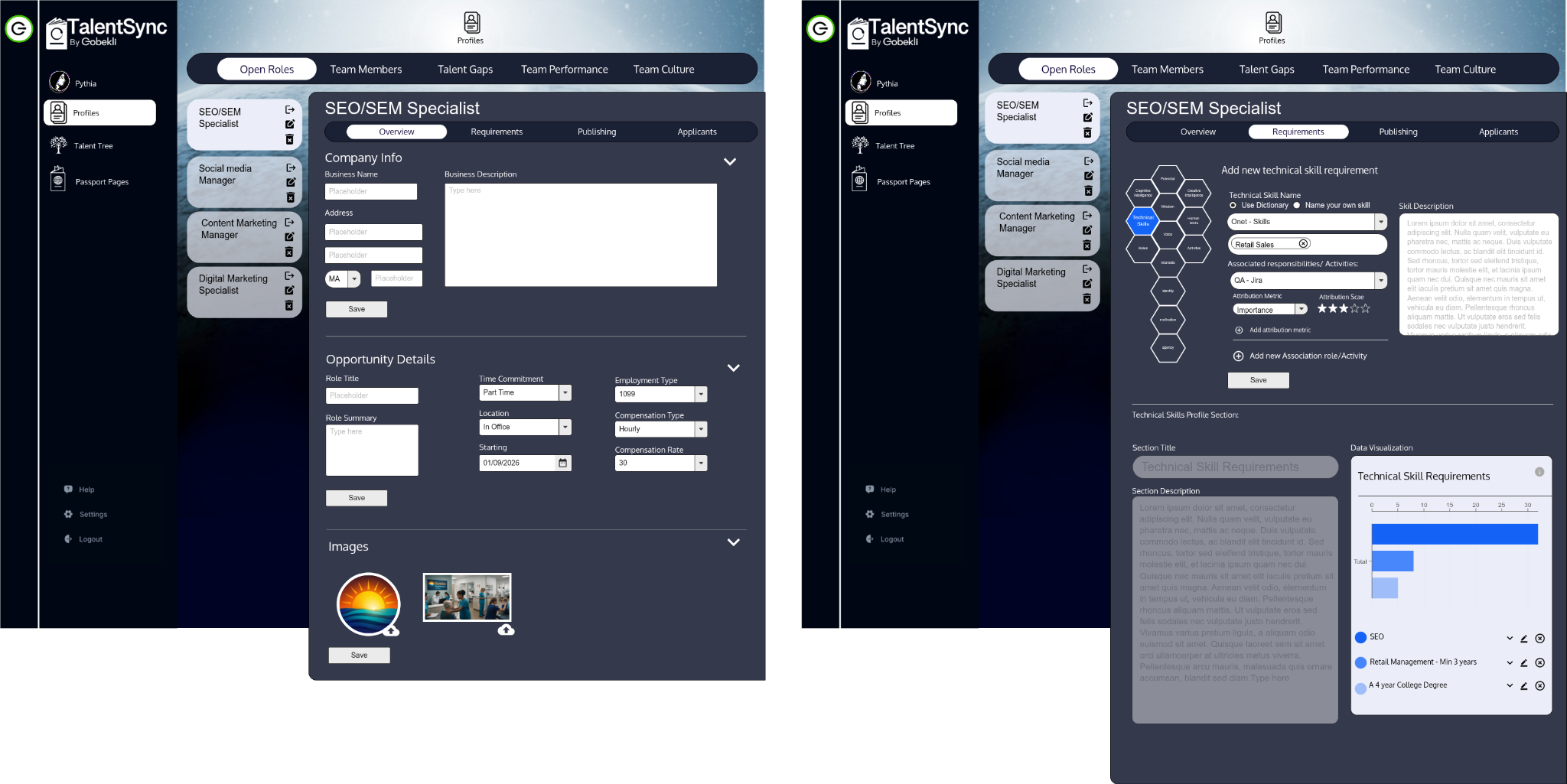 TalentSync role overview and requirements design preview
